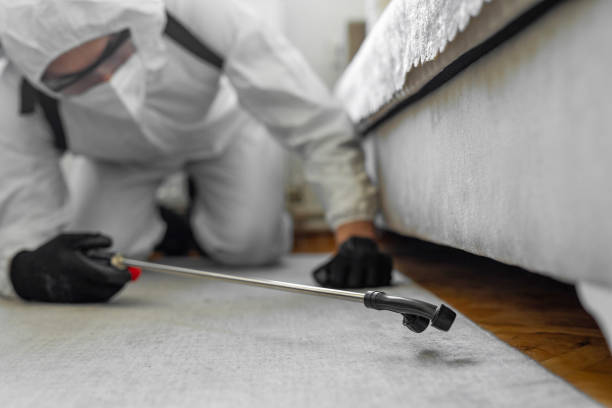 Professional Bed Bug Control technician working in Liberty, MO